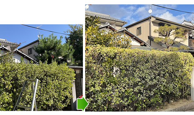 お庭の剪定（京都市右京区鳴滝）