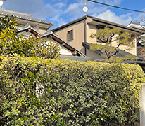 京都市北区・芝生張り（ゴルフコース）